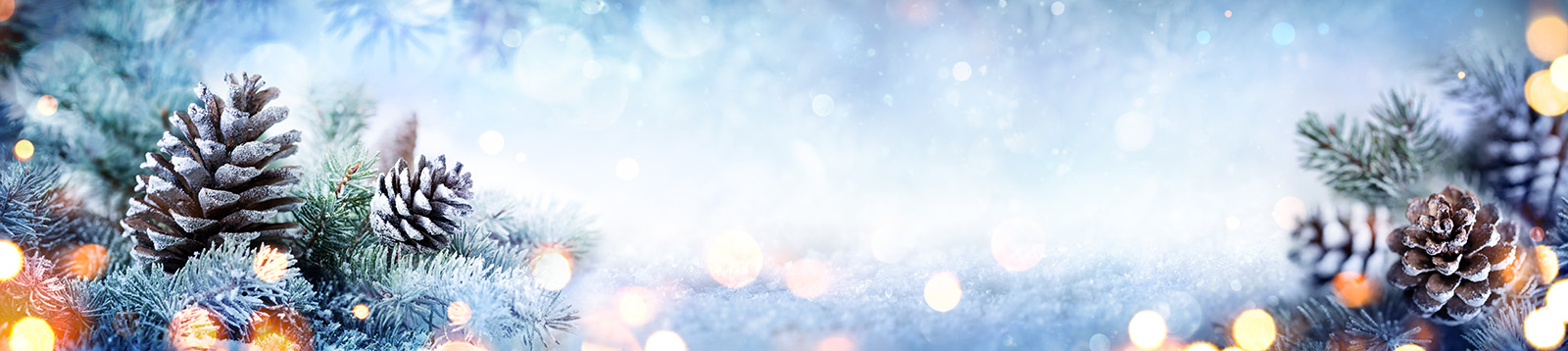 Christmas Opening hours